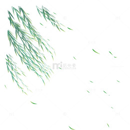 卡通柳树柳枝柳叶树枝树叶植物树木