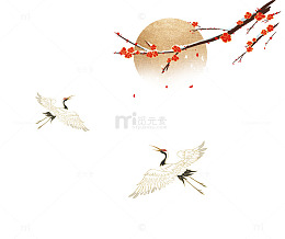 立冬腊梅梅花树枝丹顶鹤仙鹤太阳