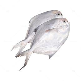 海鲜大鲳鱼元素