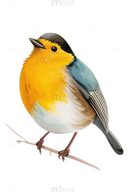 彩铅画风的小鸟