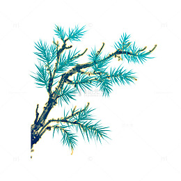 卡通松树柏树松柏松枝树枝植物