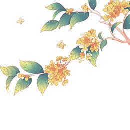 中秋节桂花花朵花卉树枝树叶