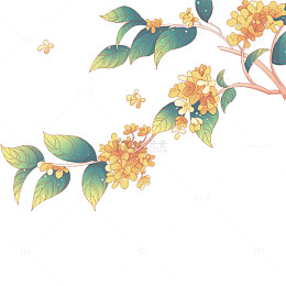 中秋节桂花花朵花卉树枝树叶