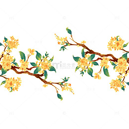 中秋节桂花花朵花卉树枝绿叶植物