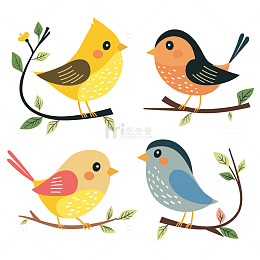 多彩小鸟枝头嬉戏