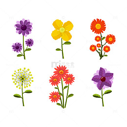 重阳花语尊老如花