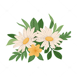 多彩插花宁静美好