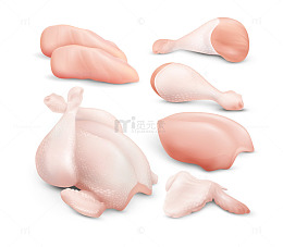 生鸡肉精选部位全览