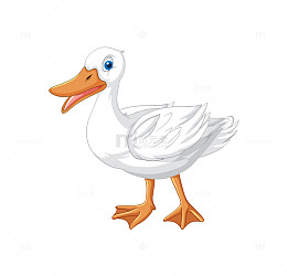 纯白色卡通鸭