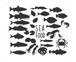 海洋生物剪影大集合