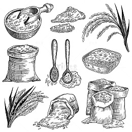 素描丰收的旋律