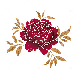 牡丹花国花扁平插画素材