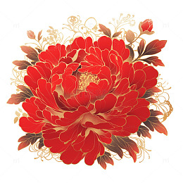 红色美丽的牡丹花插画素材