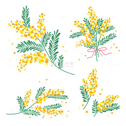 春日黄花插画集