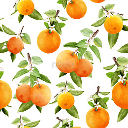 卡通橙子的自然乐园