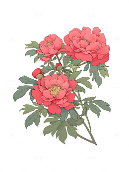 牡丹卡通花朵