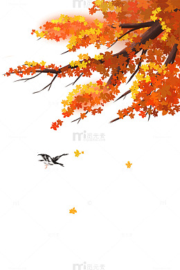秋天树木树枝树干树叶枯叶落叶叶子大雁