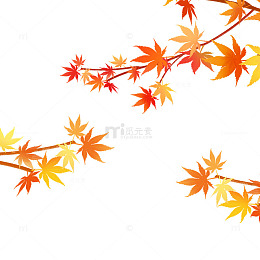 卡通秋天枫叶秋叶树叶叶子叶片树枝