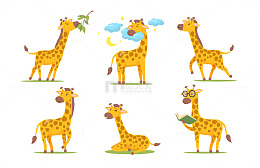 六只长颈鹿的多彩生活