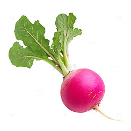 红萝卜蔬菜瓜果