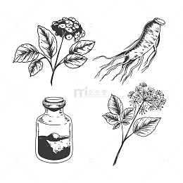 植物与药草黑白图鉴