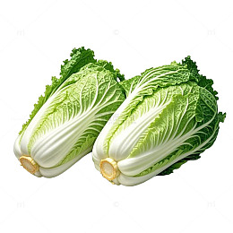 大白菜生鲜蔬菜摄影图素材