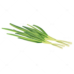 手绘卡通蒜苗青蒜葱蒜食材佐料蔬菜