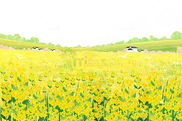清新治愈油菜花田手绘