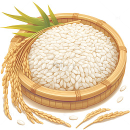 一盘大米和水稻