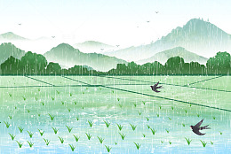 春雨燕子飞过田野农田卡通手绘