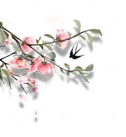 手绘桃花樱花花枝元素