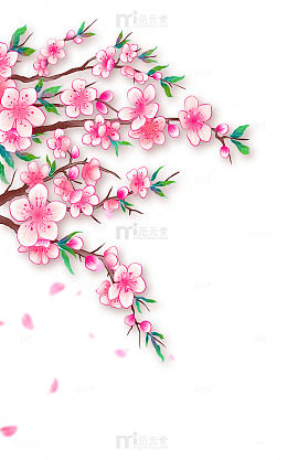 手绘桃花樱花花枝植物元素