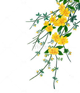 手绘春天花枝花卉植物元素