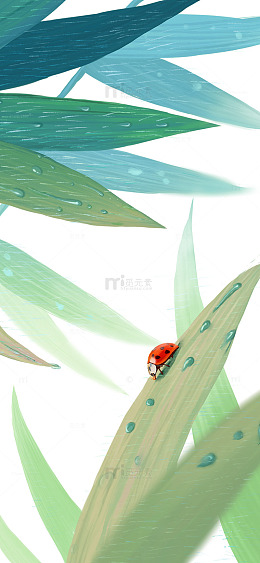 绿叶上的七星瓢虫春天装饰元素