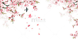 立春春分桃花花朵树枝花瓣飞鸟