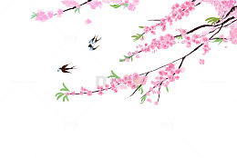 立春桃花花朵树枝树叶绿叶飞燕鸟类
