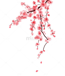 立春春分桃花花朵花卉花枝树枝花瓣