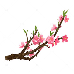 立春桃花花朵花卉绿叶桃枝树枝桃树