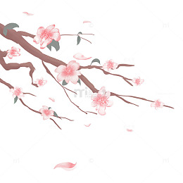 立春桃花花朵树叶树枝桃树花瓣