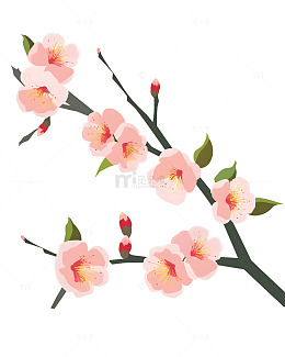 春分立春桃花花朵花苞树叶树枝