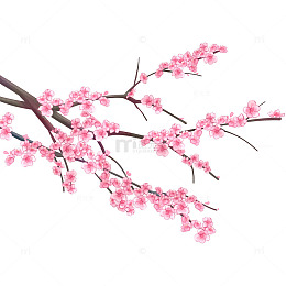 立春节气桃花花朵桃枝花枝树干树枝