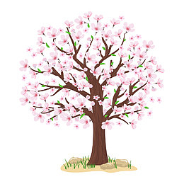 立春春分桃树树木桃花花朵花树