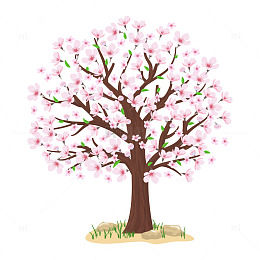 立春春分桃树树木桃花花朵花树