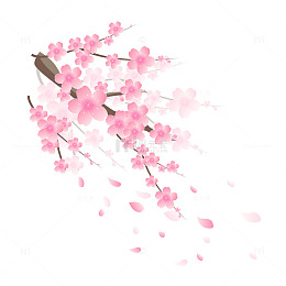 立春春分桃花花朵花簇花瓣树枝树干