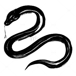 笔触水墨蛇手绘插画