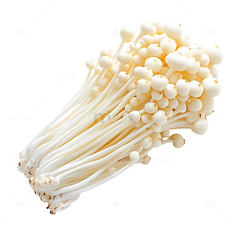 金针菇菌类美味