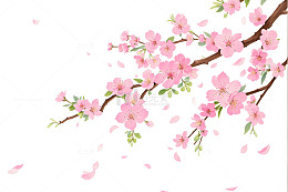 桃花枝手绘插画春季素材