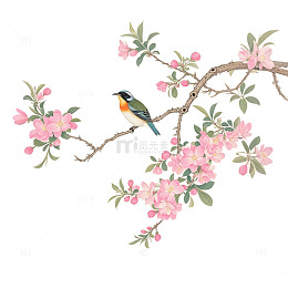 工笔画风格春季小鸟花枝素材