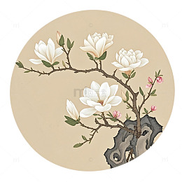 工笔画白玉兰素材