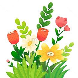 春季的花花草草